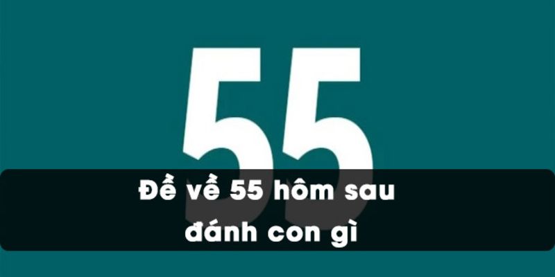 Con số 55 mang nhiều ý nghĩa đặc sắc trong đời sống và văn hóa